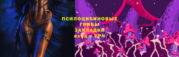 гашик Михайлов