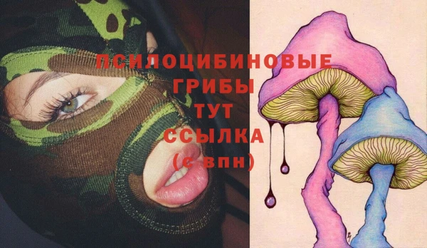МДПВ Заводоуковск